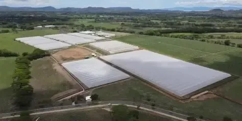 CICR felicita a Bayer en su 25 aniversario de Estación I&D de Semillas de Costa Rica