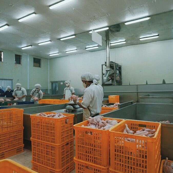En proceso nuevo Reglamento técnico centroamericano de productos cárnicos elaborados