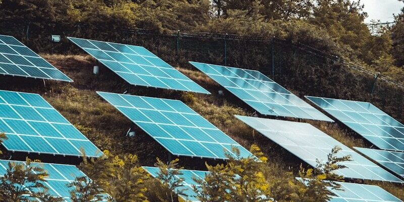 solar panels on green grass field