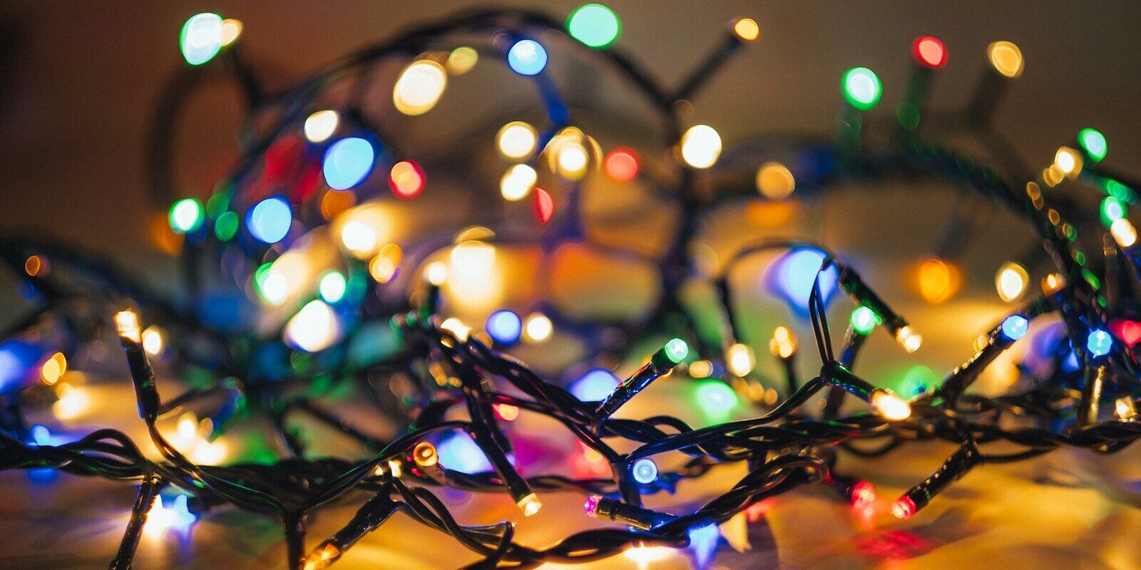 a tree with lights