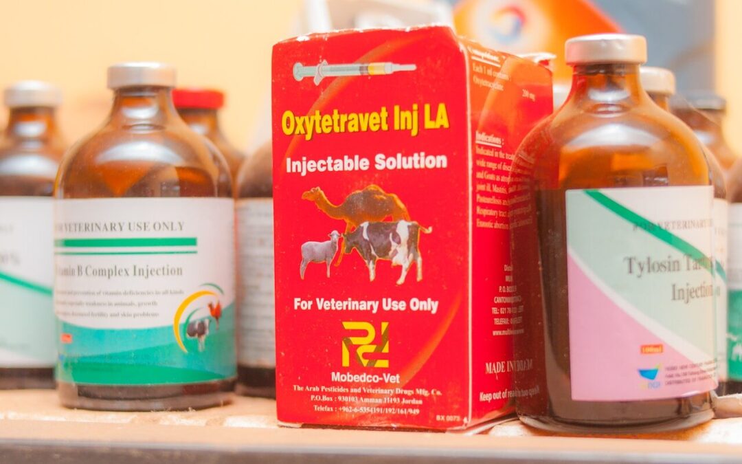 Conozca las más recientes modificaciones para el registro de medicamentos veterinarios