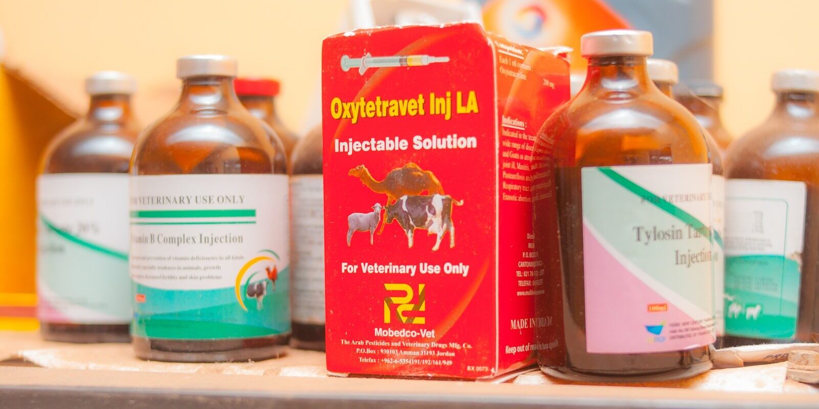 several bottles of vitamin supplements on a shelf