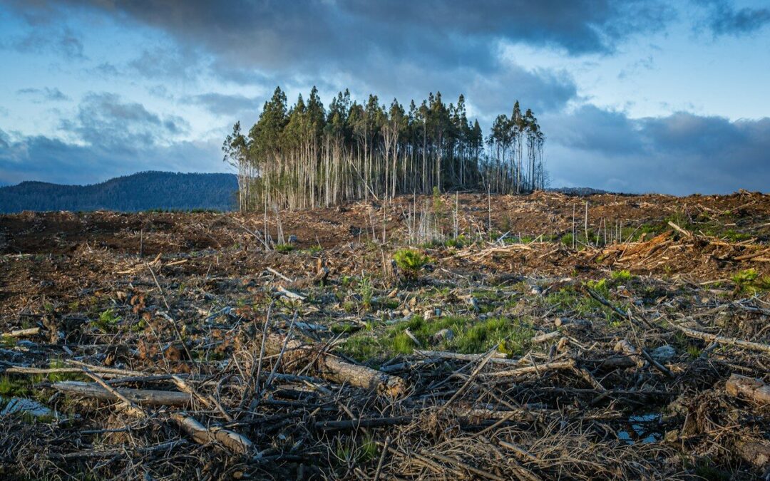 Avanza proceso de negociación del Acuerdo sobre Cambio Climático, Comercio y Sostenibilidad (ACCTS)