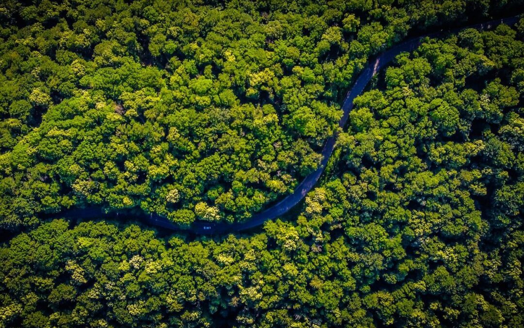 Conozca los bienes ambientales que serían desgravados por Acuerdo sobre Cambio Climático, Comercio y Sostenibilidad