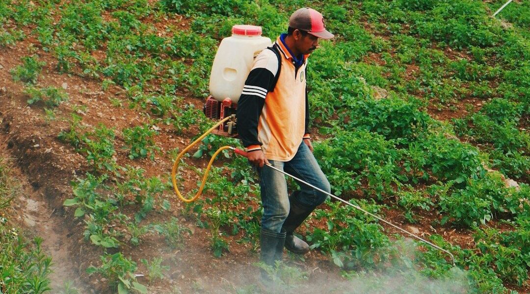 Consulta a asociados que produzcan rociadores manuales de mochila para agricultura u horticultura