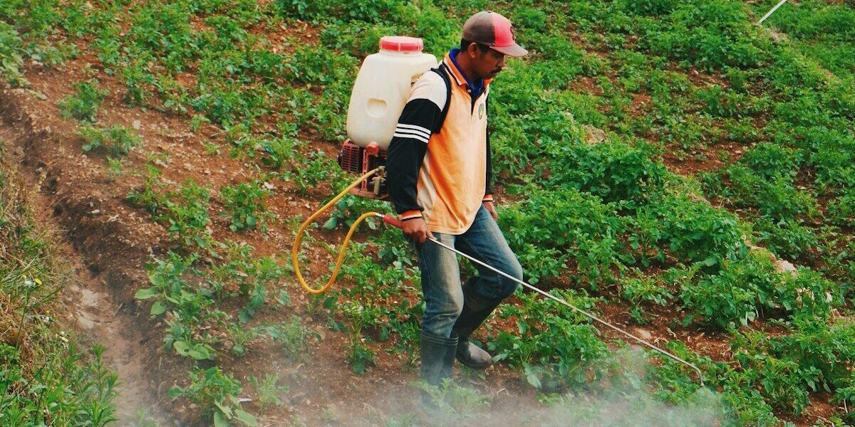 man wearing orange, black, and white jacket spraying on green plants