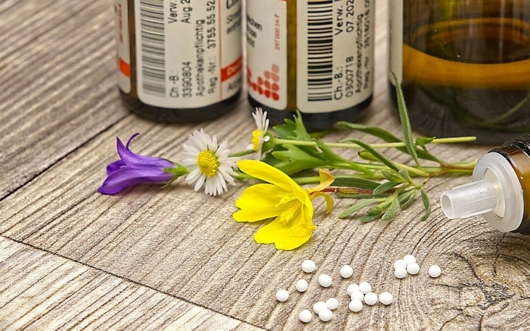 Capacitación del Ministerio de Salud sobre el registro de productos naturales